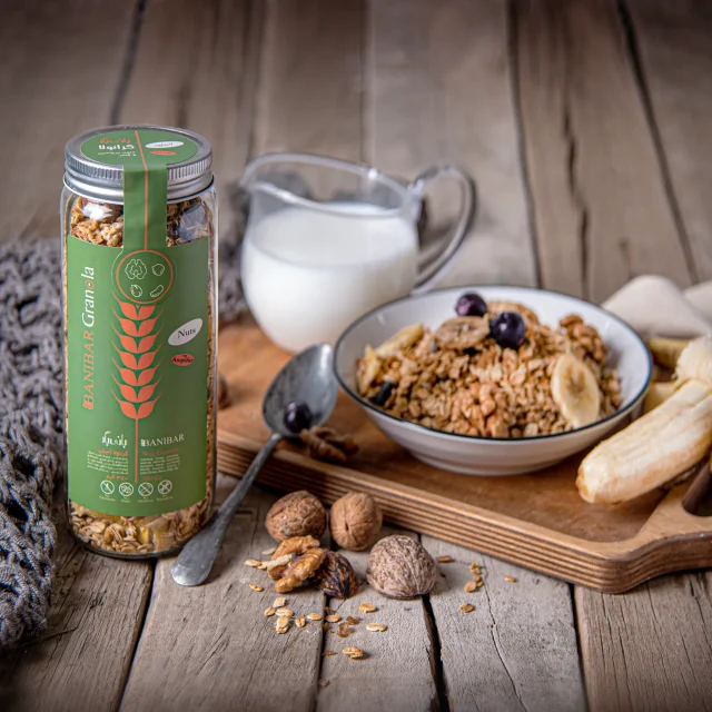 گرانولا آجیلی بانی بار